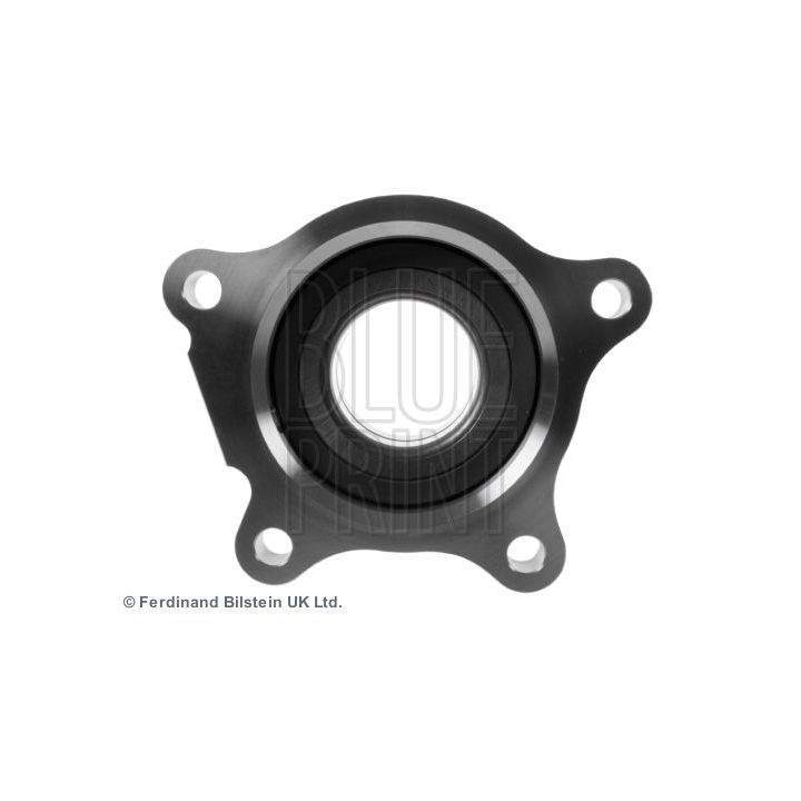 Rato guolio komplektas BLUE PRINT ADT38391