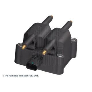 Ritė, uždegimas BLUE PRINT ADA101409