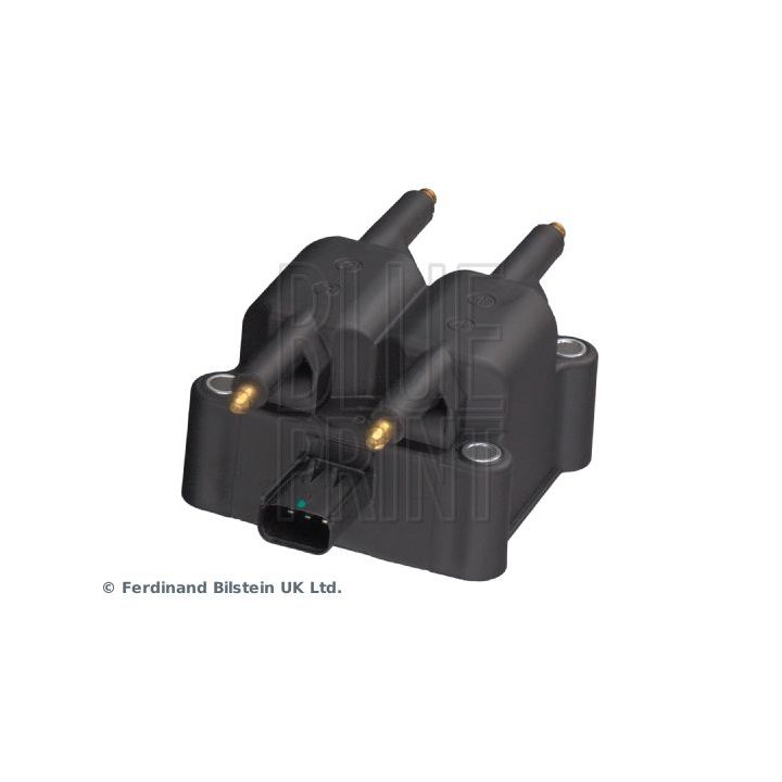 Ritė, uždegimas BLUE PRINT ADA101409