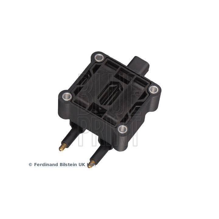 Ritė, uždegimas BLUE PRINT ADA101409