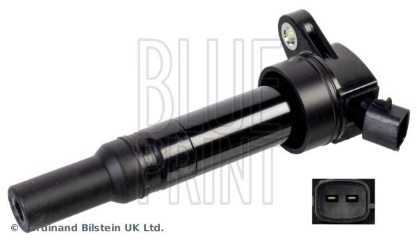 Ritė, uždegimas BLUE PRINT ADBP140011