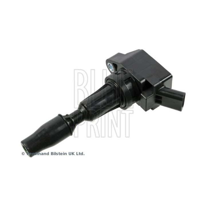 Ritė, uždegimas BLUE PRINT ADBP140029