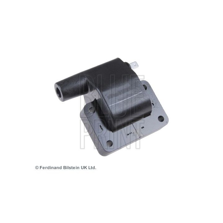 Ritė, uždegimas BLUE PRINT ADC41451