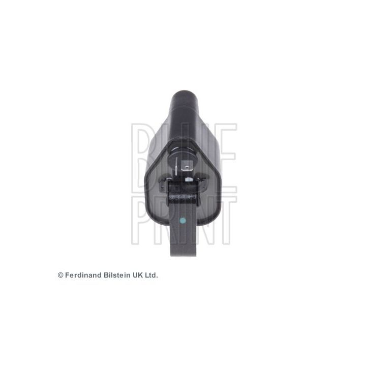 Ritė, uždegimas BLUE PRINT ADC41451