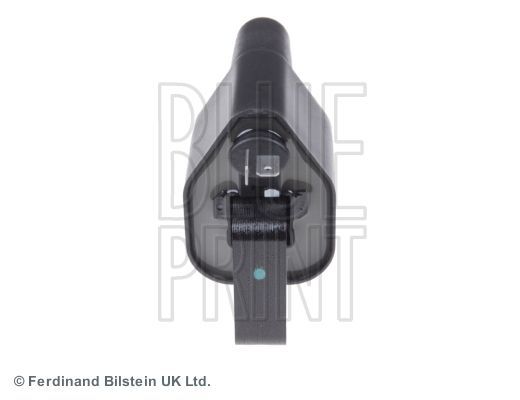 Ritė, uždegimas BLUE PRINT ADC41451