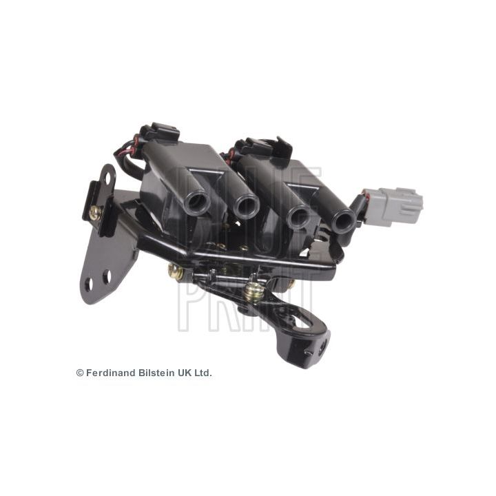 Ritė, uždegimas BLUE PRINT ADG014101