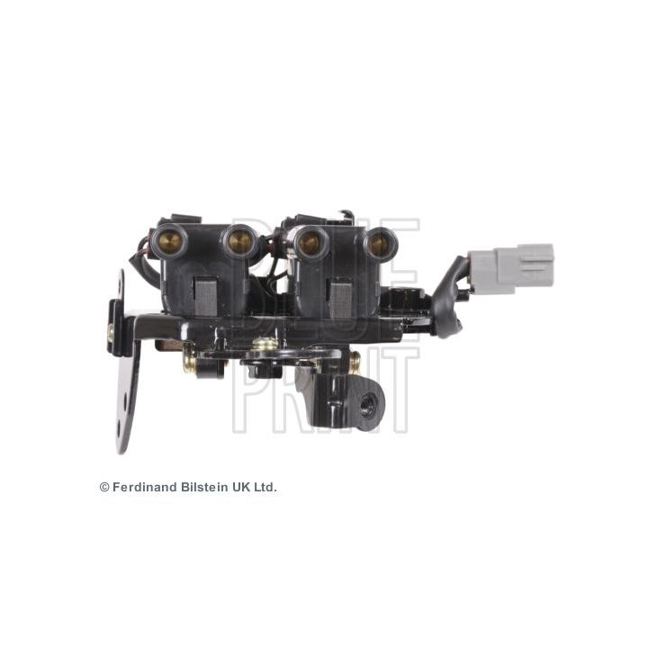 Ritė, uždegimas BLUE PRINT ADG014101