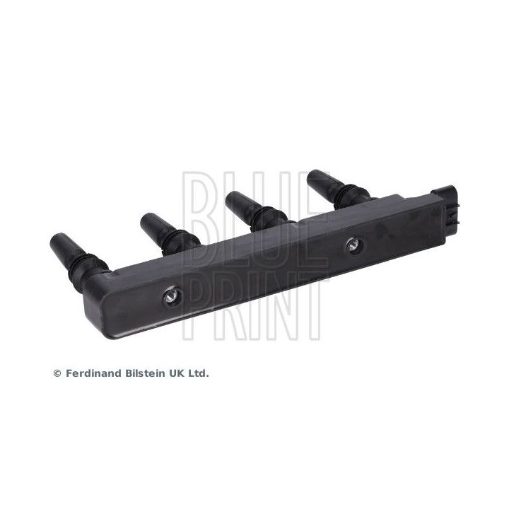 Ritė, uždegimas BLUE PRINT ADG014109