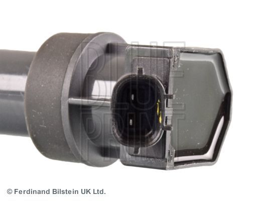 Ritė, uždegimas BLUE PRINT ADG014115