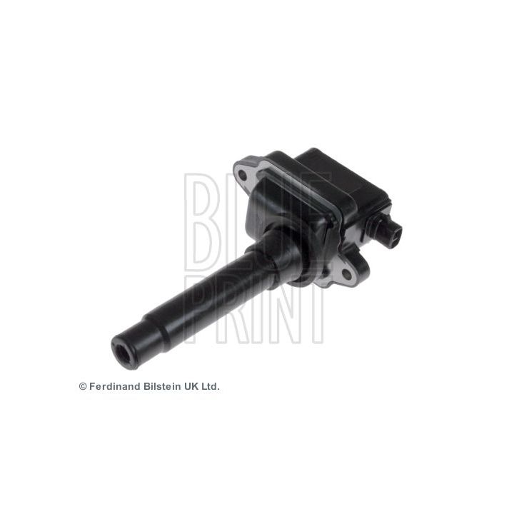 Ritė, uždegimas BLUE PRINT ADG01440
