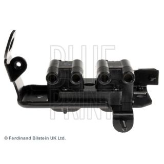 Ritė, uždegimas BLUE PRINT ADG01441C