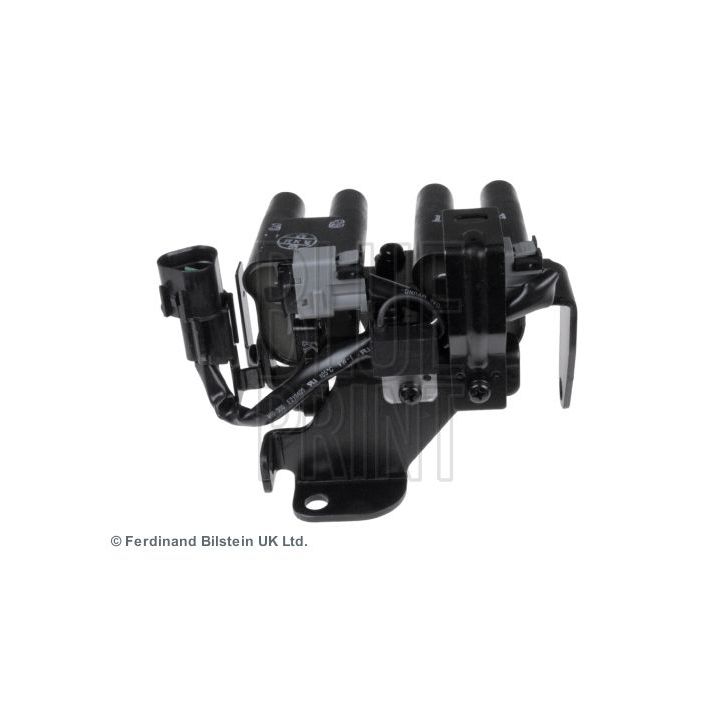 Ritė, uždegimas BLUE PRINT ADG01443