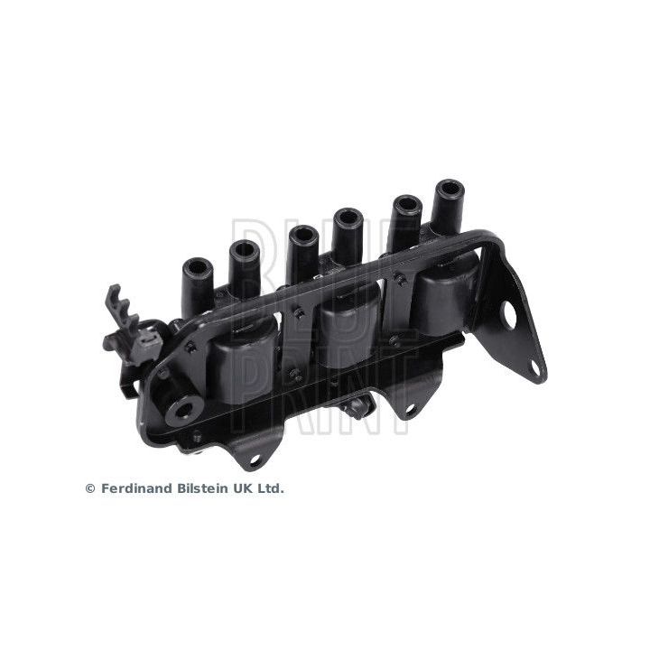 Ritė, uždegimas BLUE PRINT ADG01444