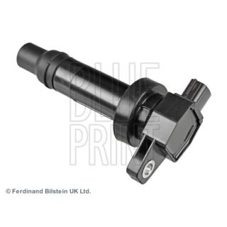 Ritė, uždegimas BLUE PRINT ADG01445