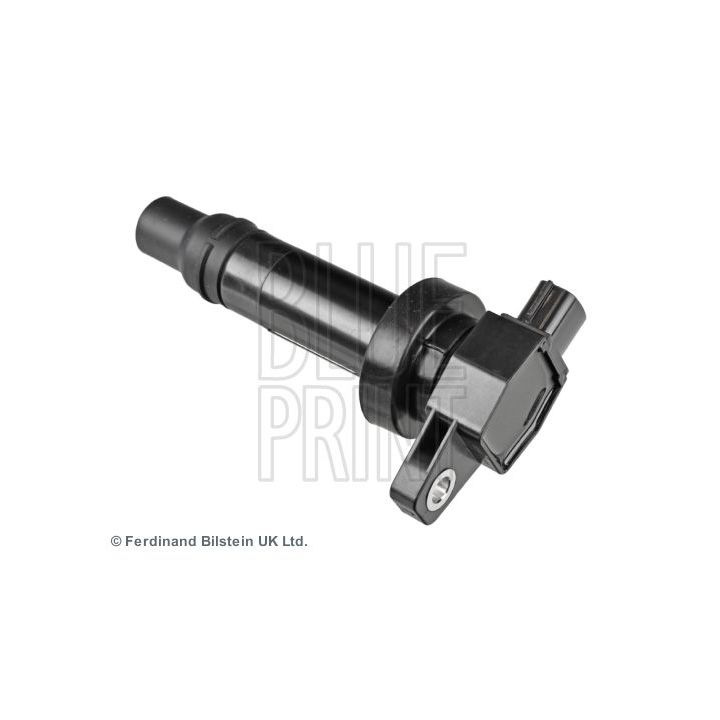 Ritė, uždegimas BLUE PRINT ADG01445