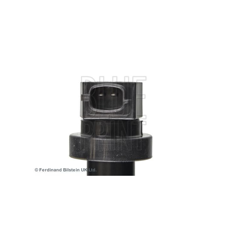 Ritė, uždegimas BLUE PRINT ADG01445