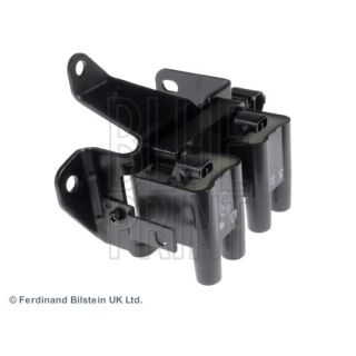 Ritė, uždegimas BLUE PRINT ADG01479