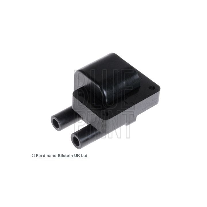 Ritė, uždegimas BLUE PRINT ADG01486