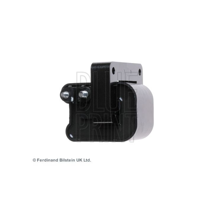 Ritė, uždegimas BLUE PRINT ADG01486