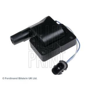 Ritė, uždegimas BLUE PRINT ADG01487
