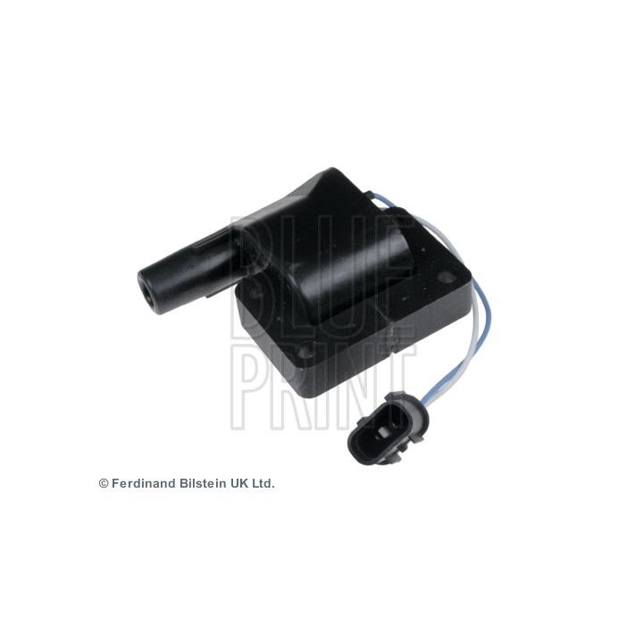 Ritė, uždegimas BLUE PRINT ADG01487