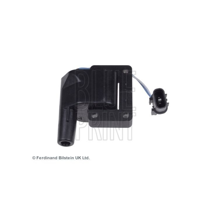 Ritė, uždegimas BLUE PRINT ADG01487