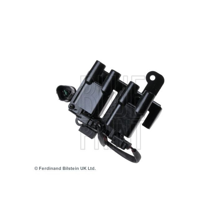 Ritė, uždegimas BLUE PRINT ADG01488