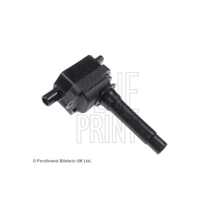 Ritė, uždegimas BLUE PRINT ADG01489