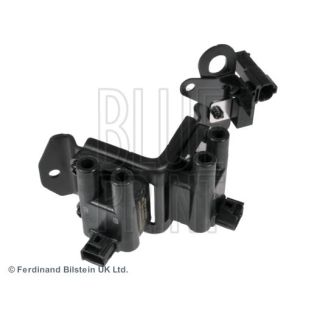 Ritė, uždegimas BLUE PRINT ADG01498