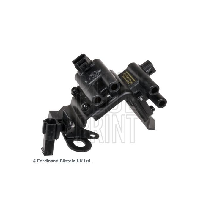 Ritė, uždegimas BLUE PRINT ADG01498