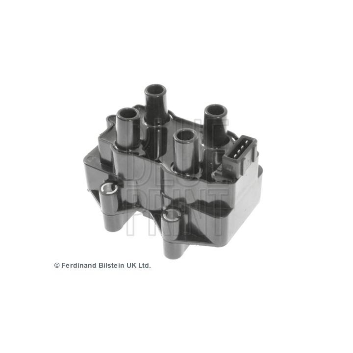 Ritė, uždegimas BLUE PRINT ADJ131401