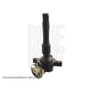 Ritė, uždegimas BLUE PRINT ADJ131410