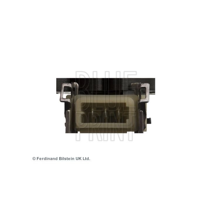 Ritė, uždegimas BLUE PRINT ADJ131410