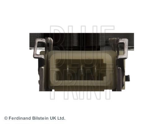 Ritė, uždegimas BLUE PRINT ADJ131410