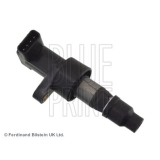 Ritė, uždegimas BLUE PRINT ADJ131411