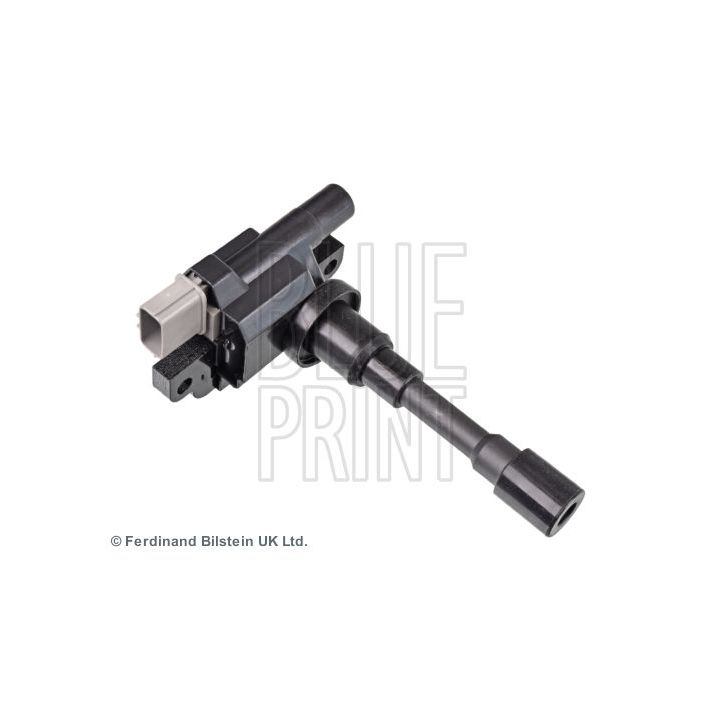 Ritė, uždegimas BLUE PRINT ADK81480