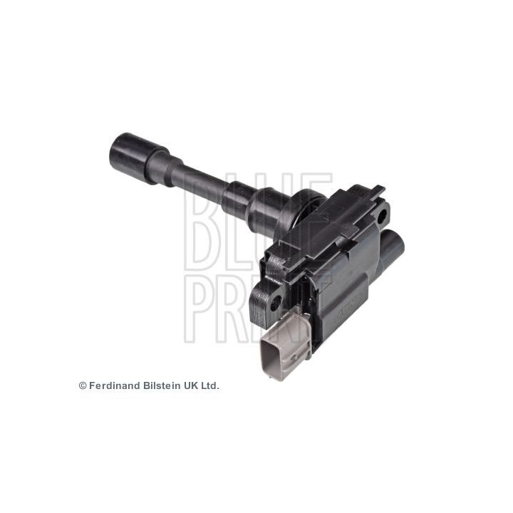 Ritė, uždegimas BLUE PRINT ADK81480