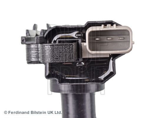 Ritė, uždegimas BLUE PRINT ADK81480