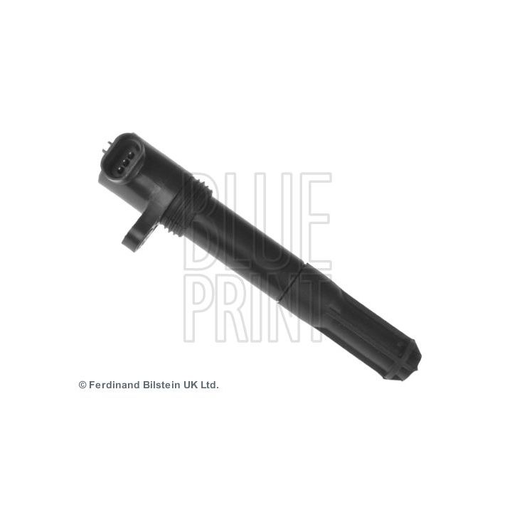 Ritė, uždegimas BLUE PRINT ADL141401