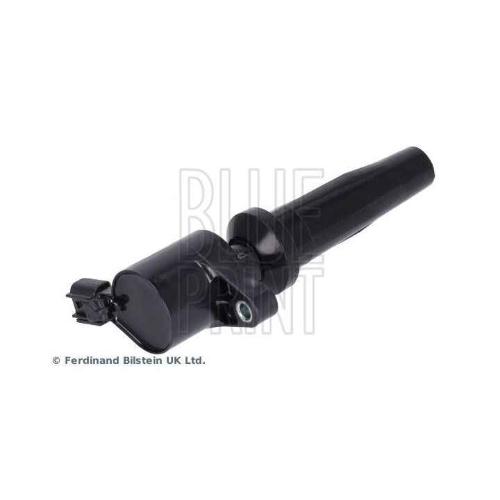 Ritė, uždegimas BLUE PRINT ADM51416