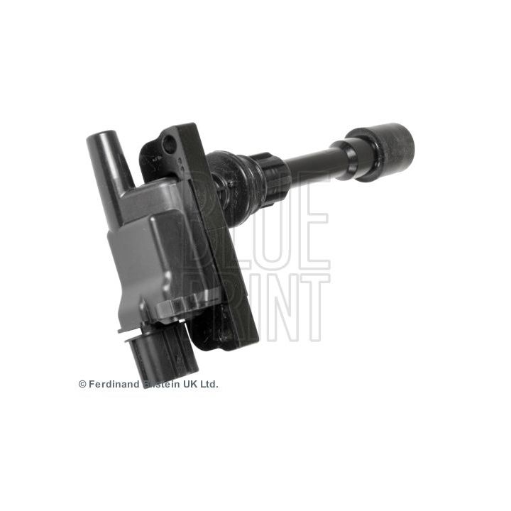 Ritė, uždegimas BLUE PRINT ADM51475