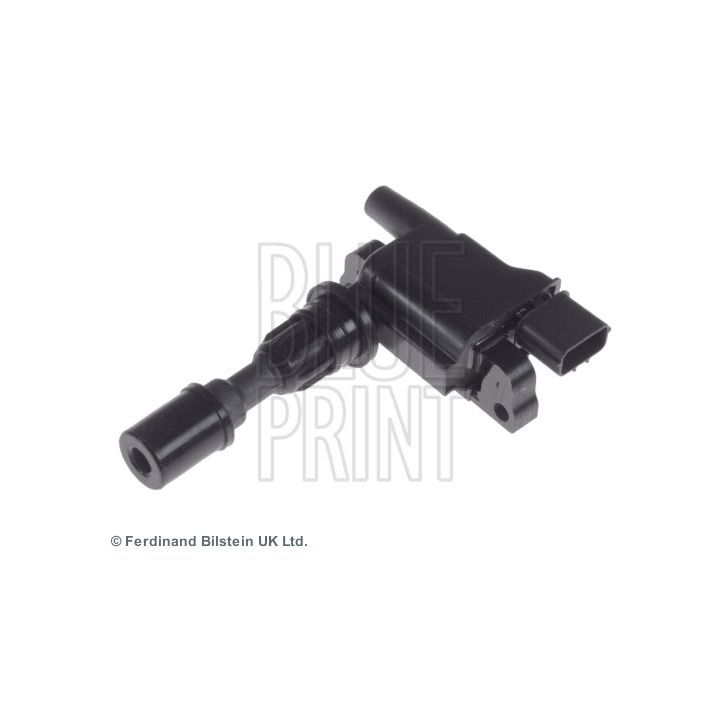 Ritė, uždegimas BLUE PRINT ADM51476