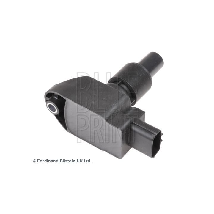 Ritė, uždegimas BLUE PRINT ADM51488