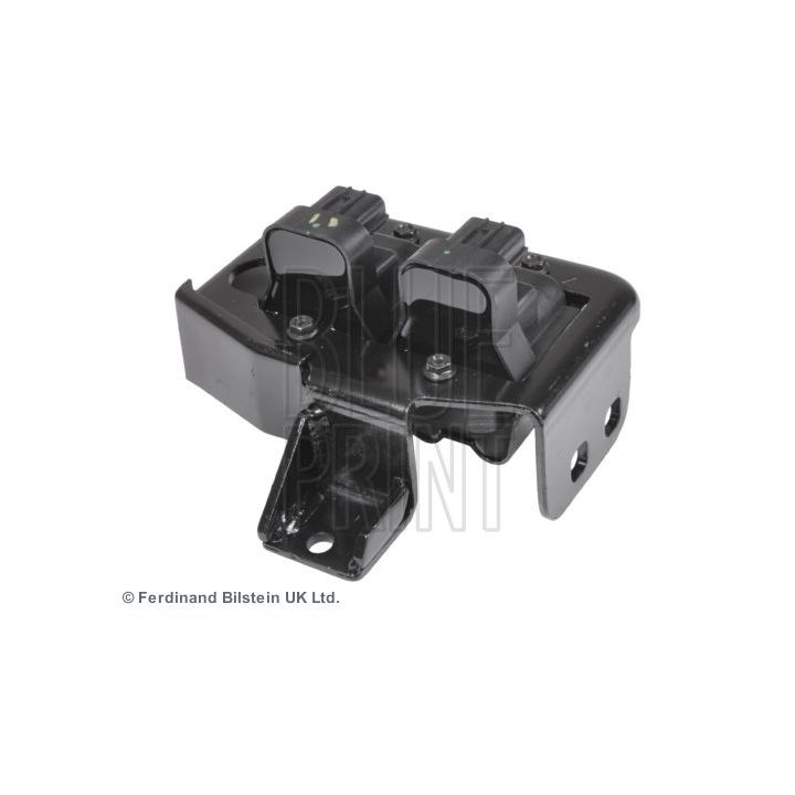 Ritė, uždegimas BLUE PRINT ADM51489