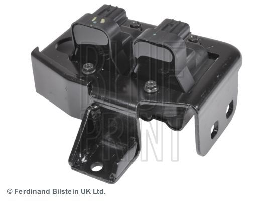 Ritė, uždegimas BLUE PRINT ADM51489