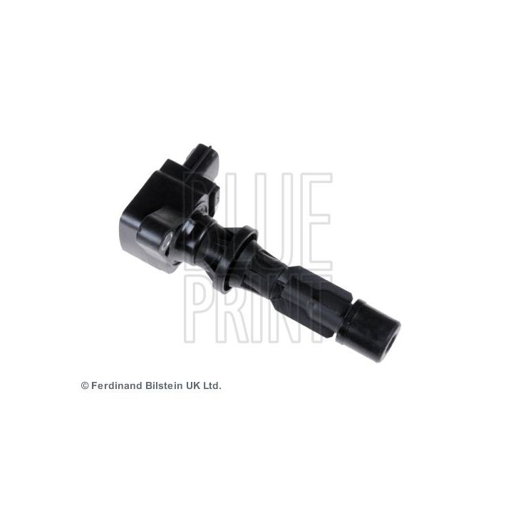 Ritė, uždegimas BLUE PRINT ADM51490