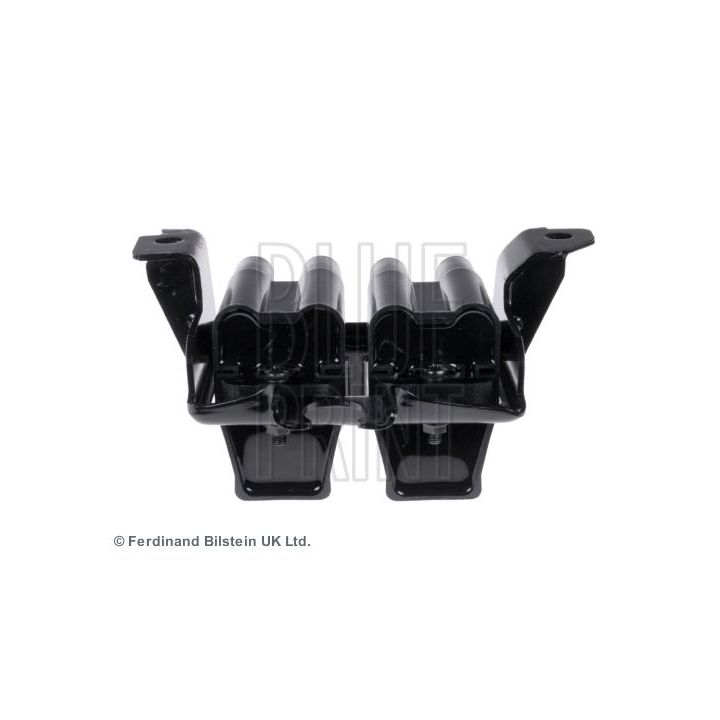 Ritė, uždegimas BLUE PRINT ADM51491