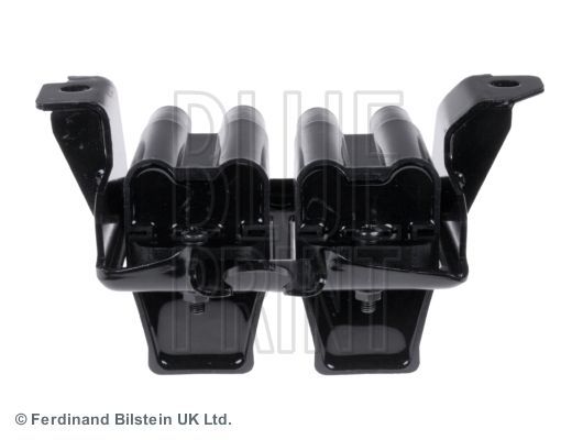 Ritė, uždegimas BLUE PRINT ADM51491