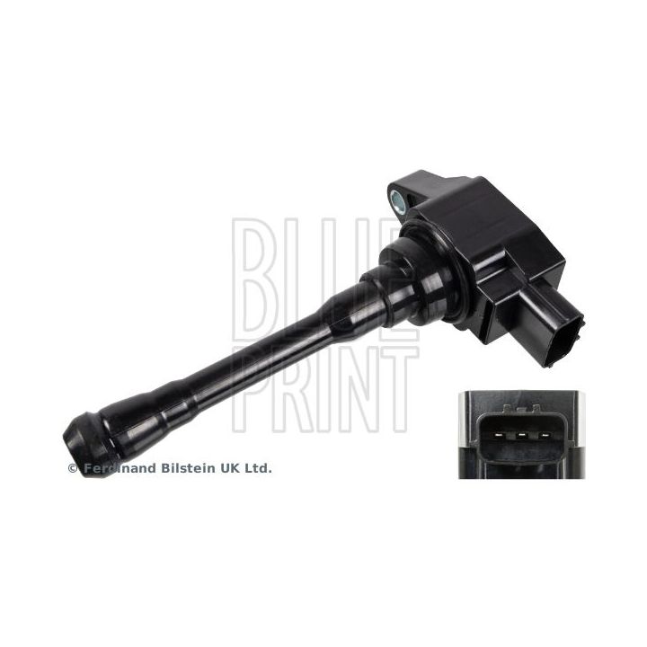 Ritė, uždegimas BLUE PRINT ADN114237