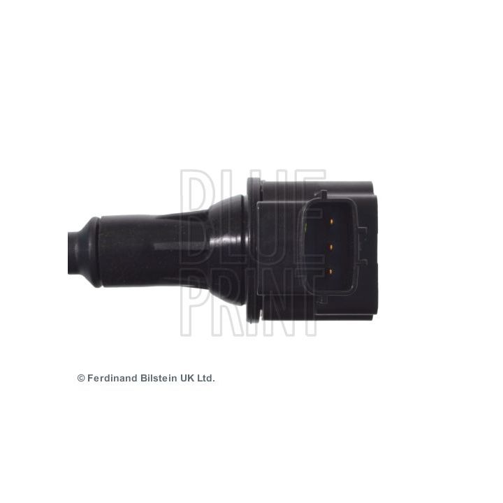 Ritė, uždegimas BLUE PRINT ADN114238